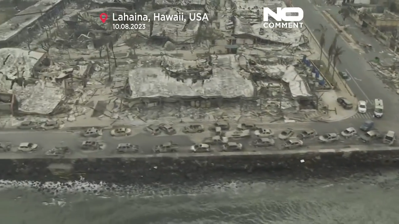 Popular videos from the past week you may have missed